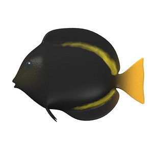 tropical fish 3d model