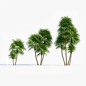 3D Cryosophila b