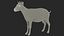 Goat Saanen Breed Rigged for Maya