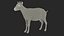 Goat Saanen Breed Rigged for Maya