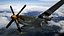 P51 Roter Schwanz