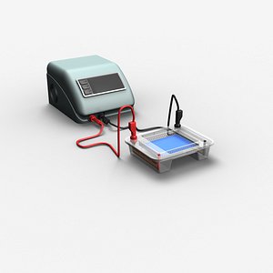 Gel Electrophoresis Apparatus