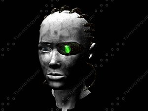 borg 3.br5