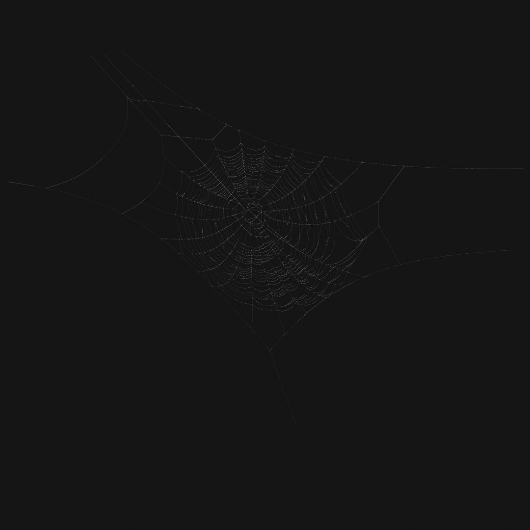 Spider Web 3d Model