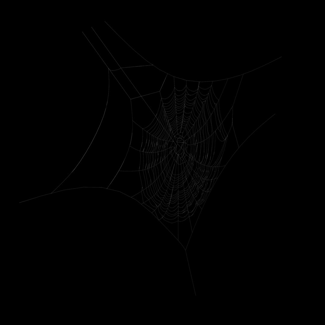 Spider Web 3d Model