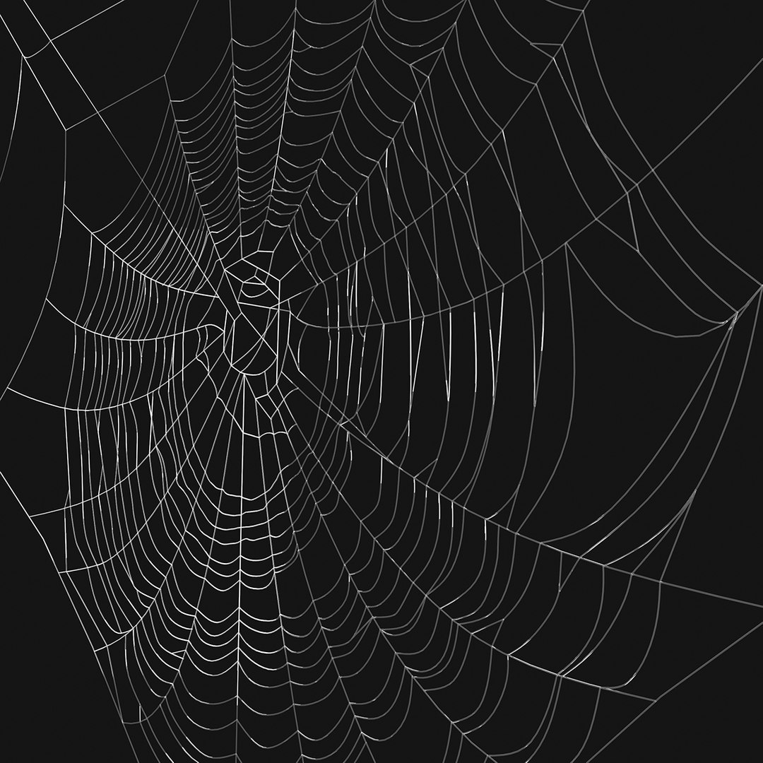 Spider Web 3d Model