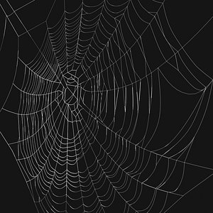 spider web 3d model