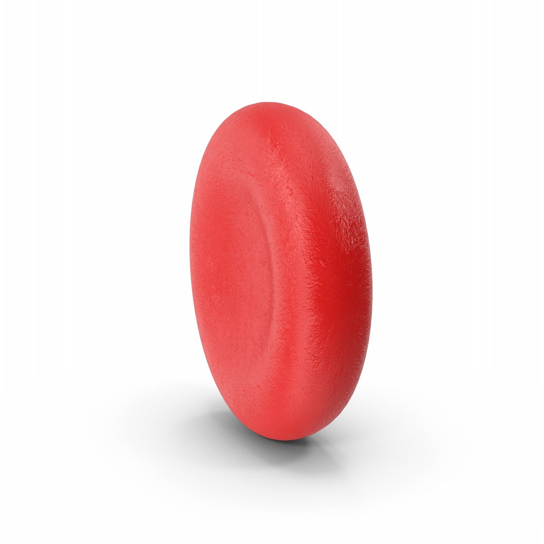 Blood Cell 3D https://p.turbosquid.com/ts-thumb/dH/q32JOP/53/bloodcell.h12.2k/png/1714923634/1920x1080/fit_q87/7b59a405e04277452d0a4520f435fd70b373ac76/bloodcell.h12.2k.jpg