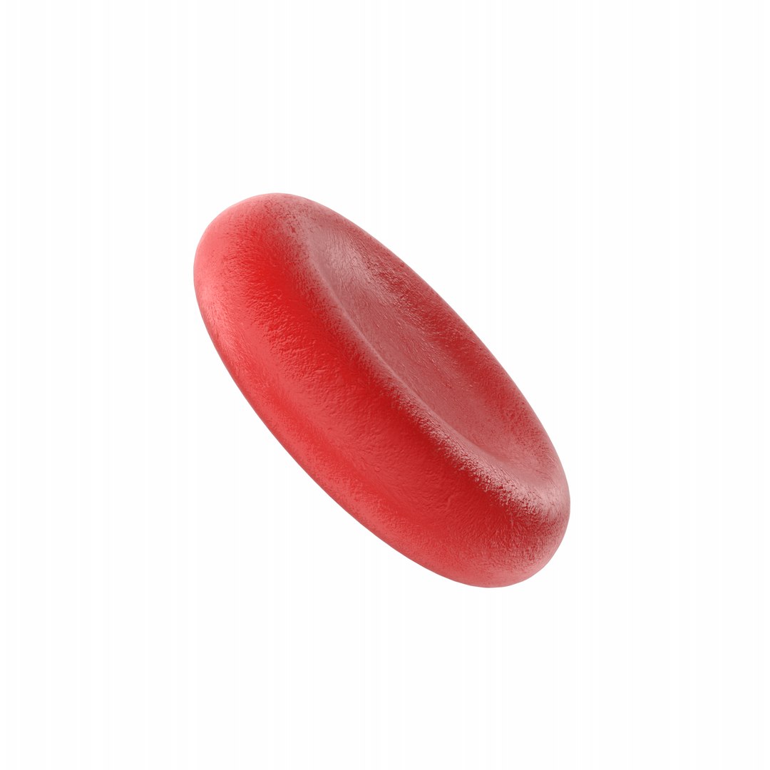 Blood Cell 3D https://p.turbosquid.com/ts-thumb/dH/q32JOP/oP/bloodcell.o15.2k/png/1714923623/1920x1080/fit_q87/51e8917e256454a2e4b8bbd49ccdc58e39e5dcfa/bloodcell.o15.2k.jpg