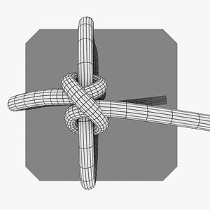 knot 3D model