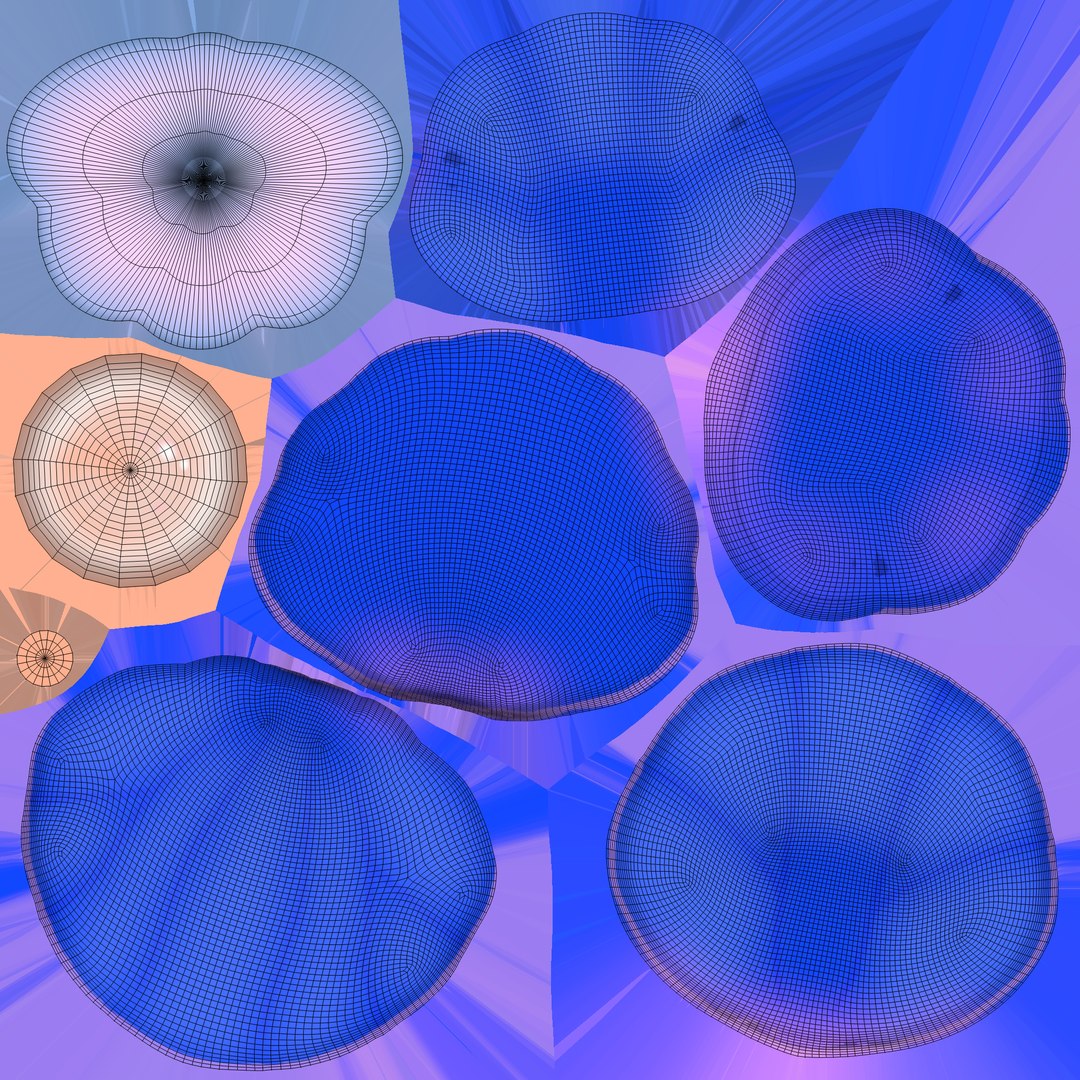 Open Clam Sea Shell 04 3D Model - TurboSquid 2331065