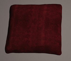 3D scanned cushion