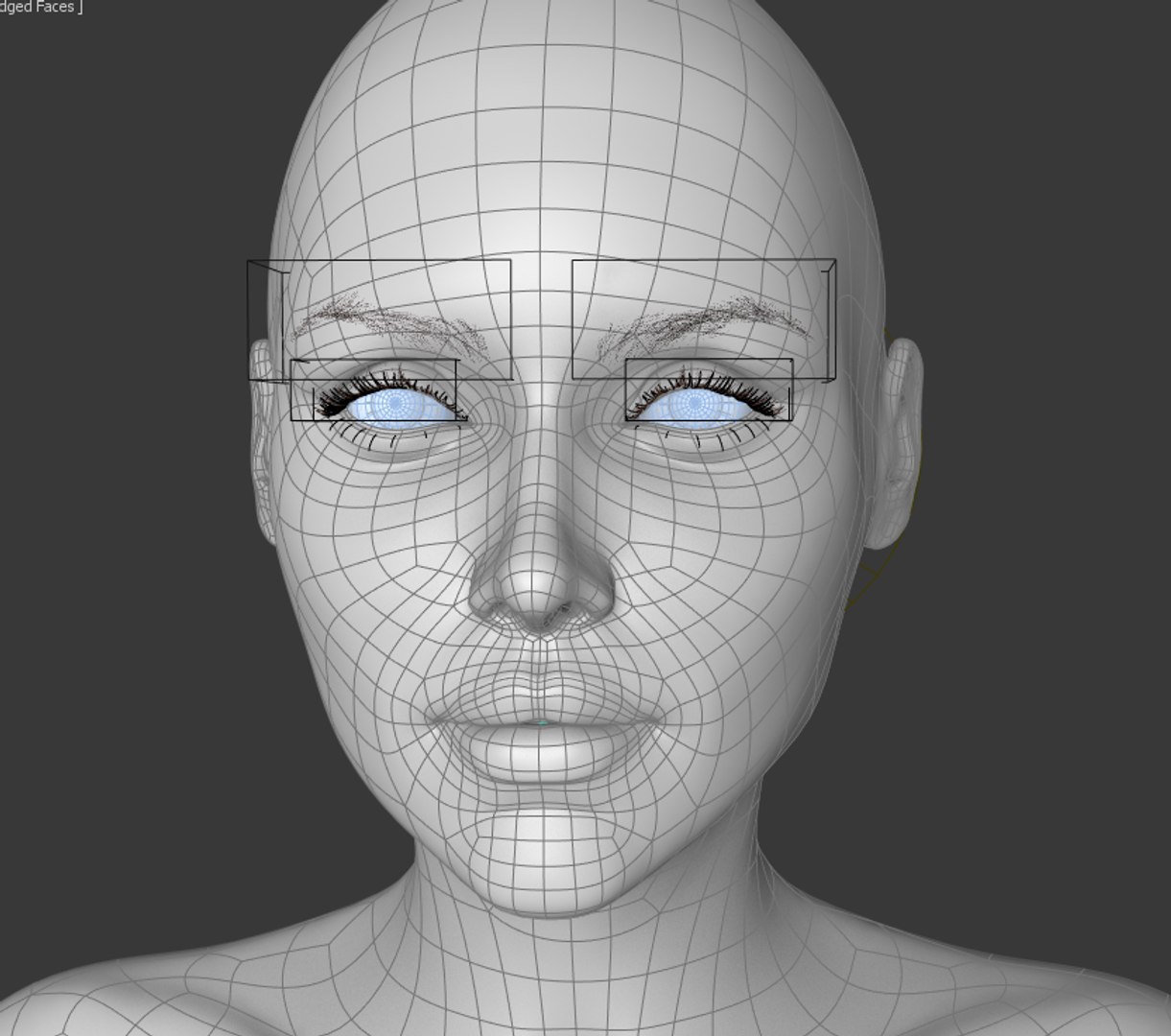 female rigged 3d model