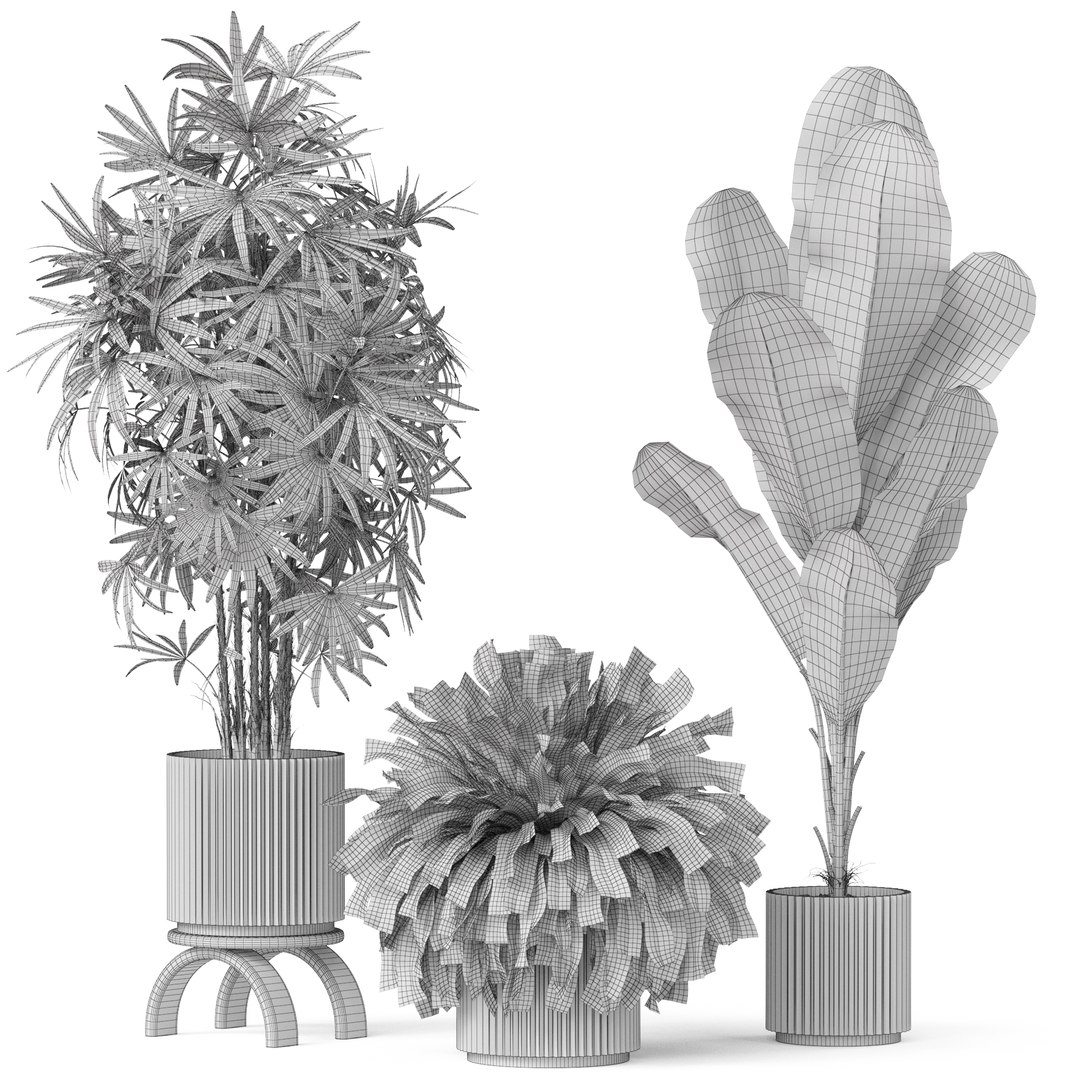 3D Plants Collection 919 Model - TurboSquid 2044104