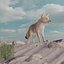 FOX andyjski