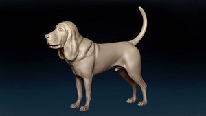 3D Bloodhound Base Mesh 3D model model