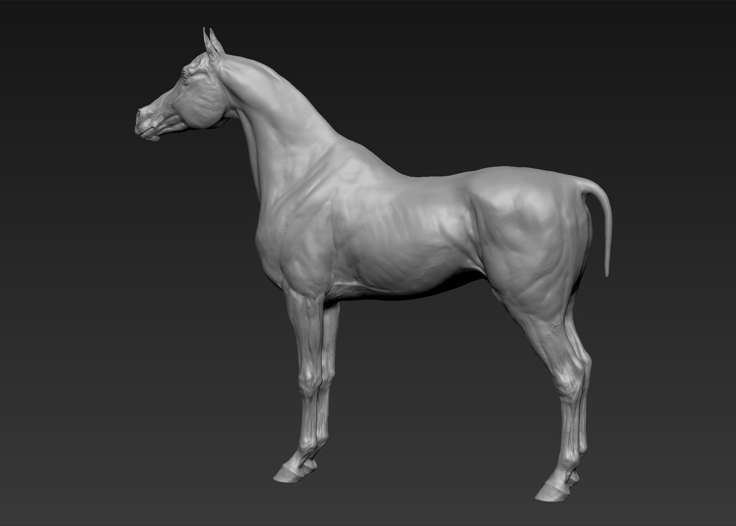 project arabian horse model https://p.turbosquid.com/ts-thumb/dI/epjbTc/19DpIVqH/6/jpg/1552280304/1920x1080/fit_q87/e881a02e4b62059bab83c7bfa4240ffb180b91a3/6.jpg