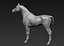 project Arabian horse