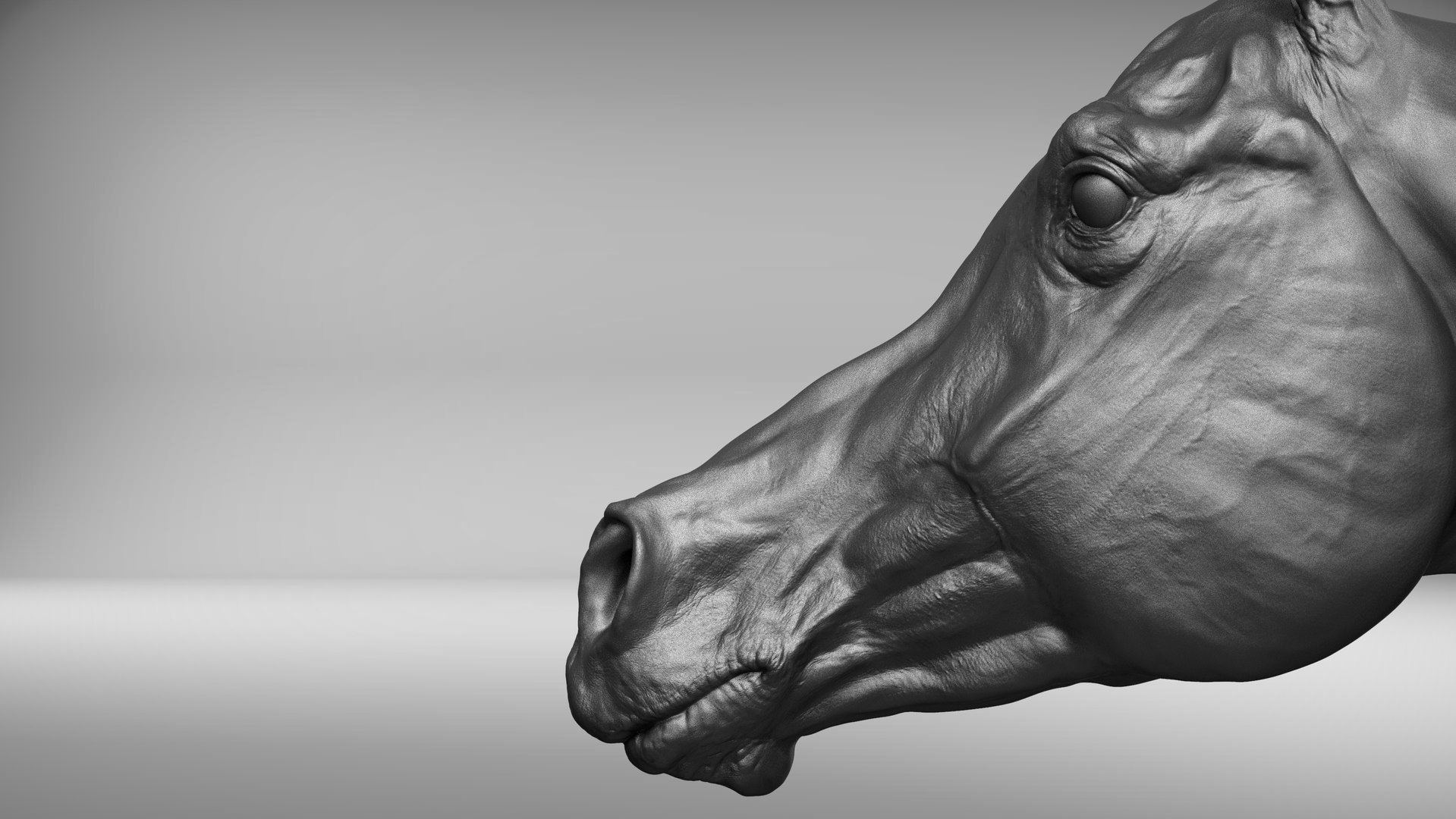 project arabian horse model https://p.turbosquid.com/ts-thumb/dI/epjbTc/6RZZrJHU/qa12/jpg/1552431724/1920x1080/fit_q87/1907580553473951204e9d641dd55ba78b939e0f/qa12.jpg
