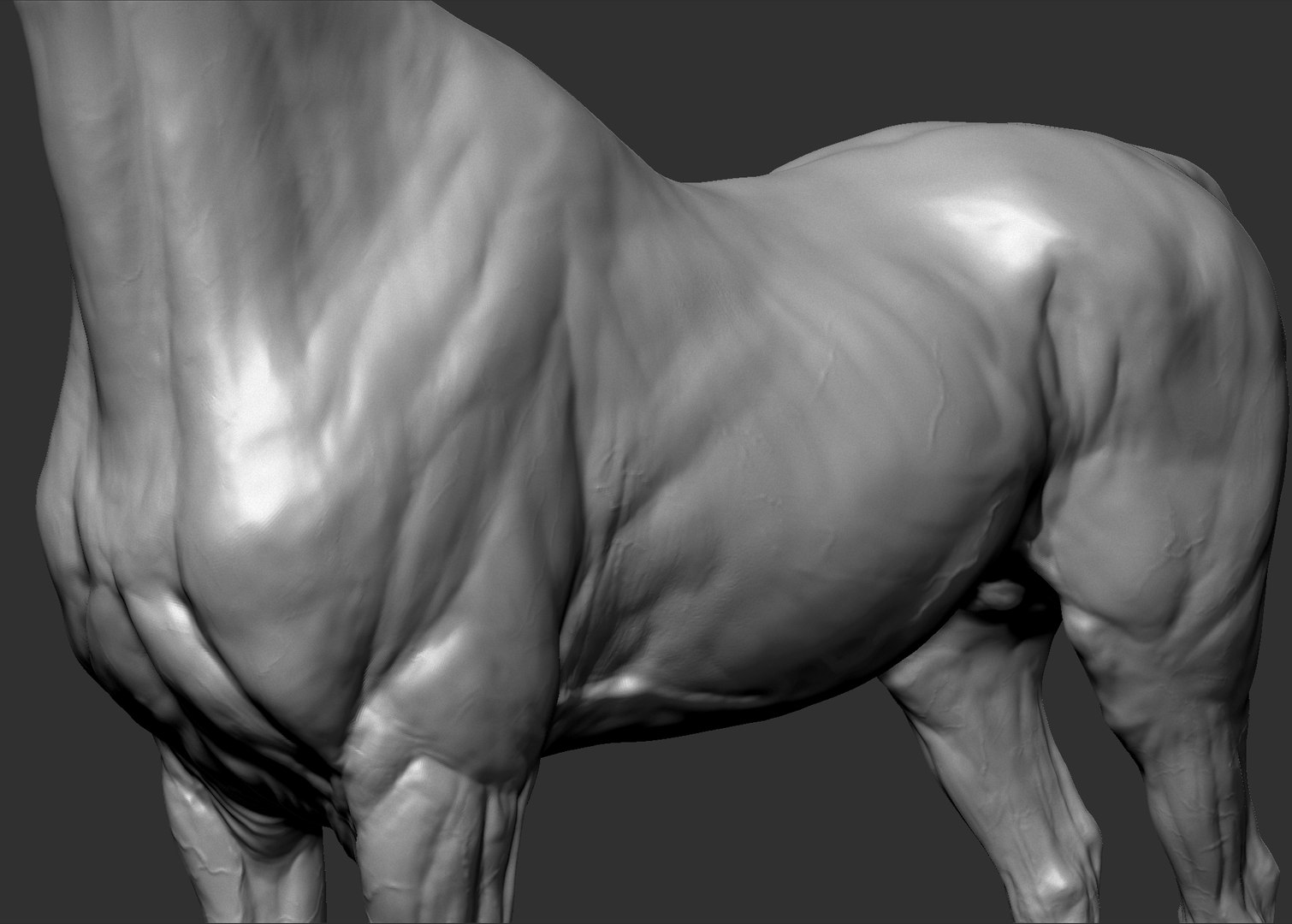 project arabian horse model https://p.turbosquid.com/ts-thumb/dI/epjbTc/C5uKpIKB/arab7/jpg/1552280226/1920x1080/fit_q87/15b8ae1bc9e639298a23bc30c817126a2b38672e/arab7.jpg
