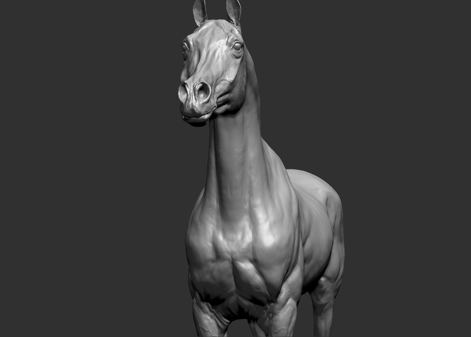 project arabian horse model https://p.turbosquid.com/ts-thumb/dI/epjbTc/C7xGARbS/arab14/jpg/1552280226/1920x1080/fit_q87/34dfc7986cebda7ed05555c24798cd28fc3ca30e/arab14.jpg