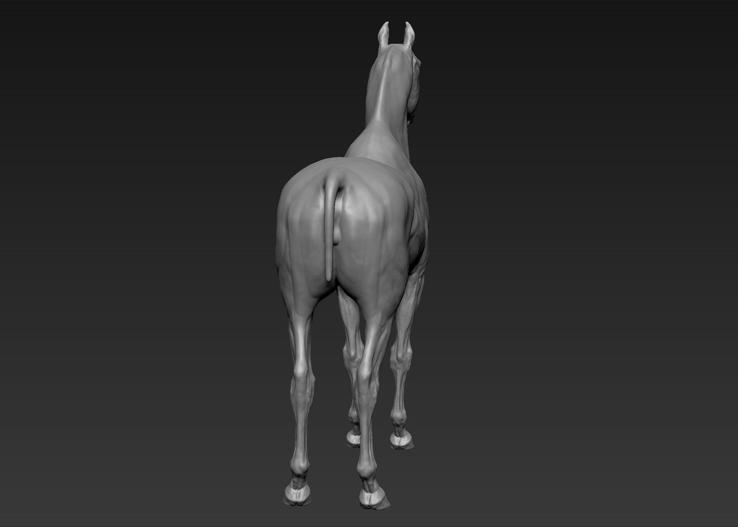 project arabian horse model https://p.turbosquid.com/ts-thumb/dI/epjbTc/CuKnVOrH/8/jpg/1552280304/1920x1080/fit_q87/26e6a922cfdbeca43fd0f98fa504171fe69c2015/8.jpg
