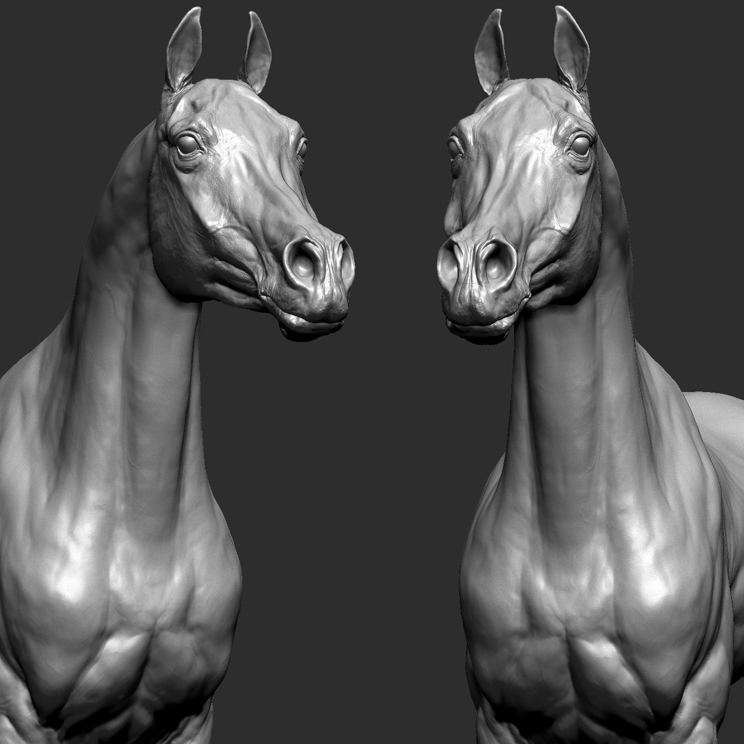 project arabian horse model https://p.turbosquid.com/ts-thumb/dI/epjbTc/FxvmepwK/ava_/jpg/1552280177/1920x1080/fit_q87/fafba7aab348640b58bb17d299337e54267659d6/ava_.jpg