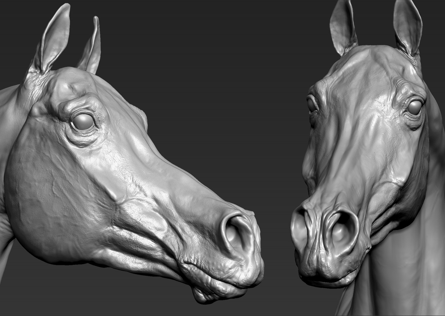 project arabian horse model https://p.turbosquid.com/ts-thumb/dI/epjbTc/GUFT1OjI/arab2/jpg/1552280226/1920x1080/fit_q87/ef6afab22d6db72b4224b0b7ca8fc9f6497958b4/arab2.jpg