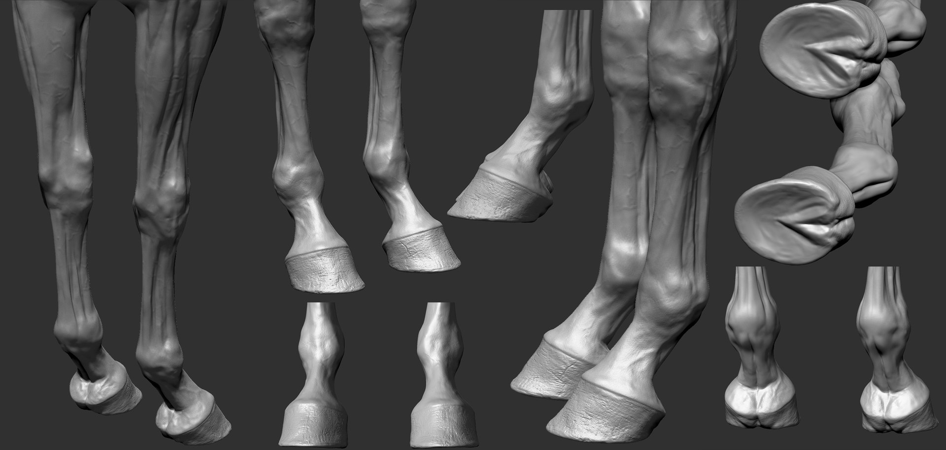project arabian horse model https://p.turbosquid.com/ts-thumb/dI/epjbTc/Hl0hKw5W/arab6/jpg/1552280226/1920x1080/fit_q87/ee27f7600f9ee240c9e6246e7b219060d1b4f488/arab6.jpg