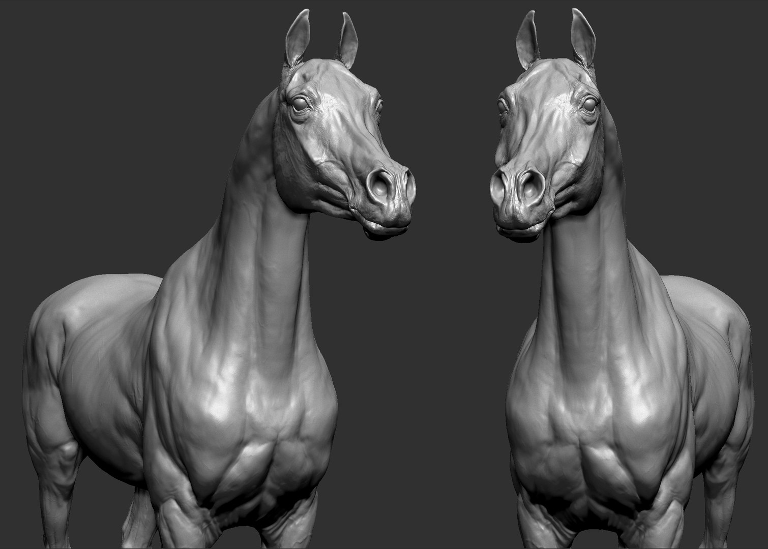 project arabian horse model https://p.turbosquid.com/ts-thumb/dI/epjbTc/LEWiWhkA/arab1/jpg/1552280226/1920x1080/fit_q87/7519f6e9c1327e97b1723c9d9ee0c7823482a235/arab1.jpg