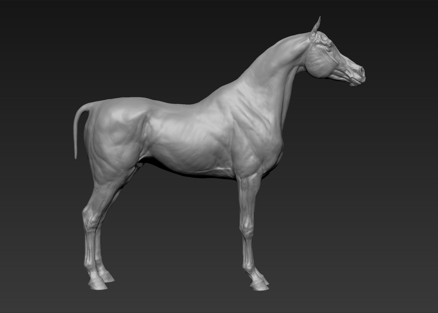 project arabian horse model https://p.turbosquid.com/ts-thumb/dI/epjbTc/LfXjlkyd/1/jpg/1552280304/1920x1080/fit_q87/c7d108a2f850148c3cf71b395cb025179ec8adec/1.jpg