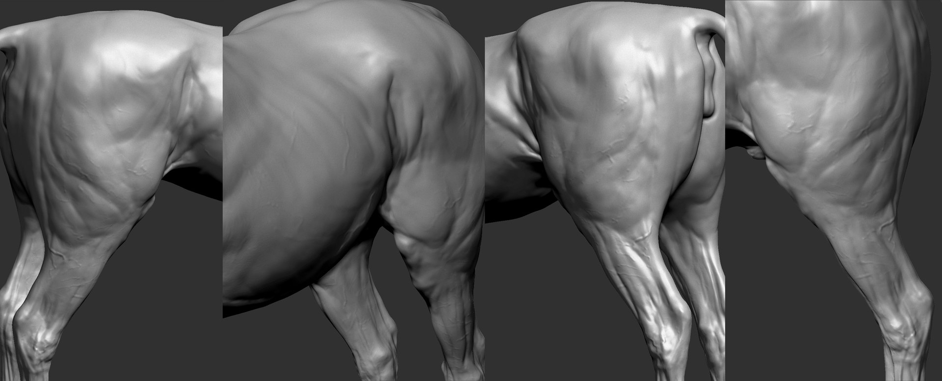 project arabian horse model https://p.turbosquid.com/ts-thumb/dI/epjbTc/M4TaQgOY/arab11/jpg/1552280226/1920x1080/fit_q87/4815deb440c15f13ffad032c68b102b1183bb187/arab11.jpg