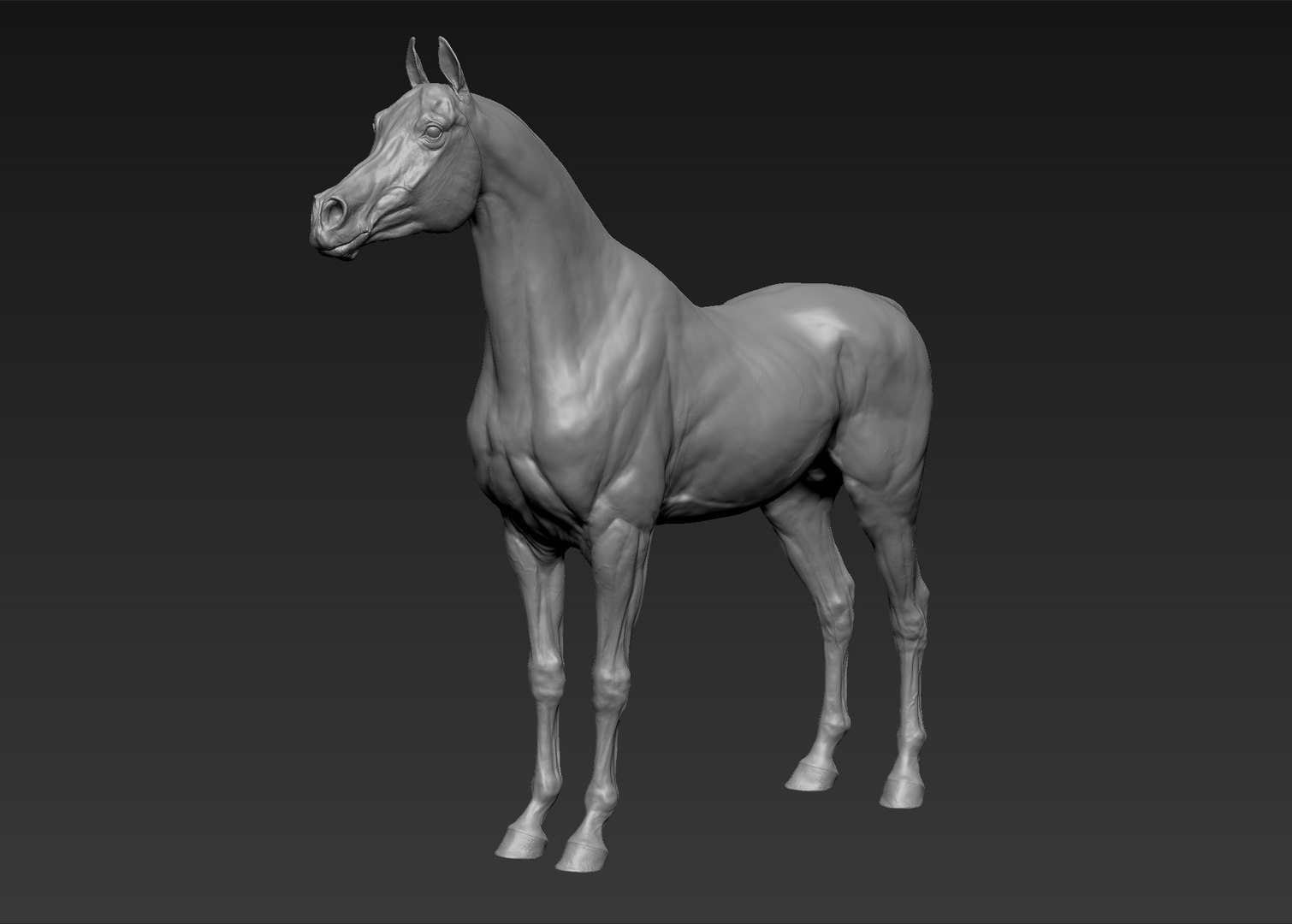 project arabian horse model https://p.turbosquid.com/ts-thumb/dI/epjbTc/QObY1i4A/5/jpg/1552280304/1920x1080/fit_q87/cff02841f0060f0d82a3624637eebe46bdac59c8/5.jpg