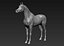 project arabian horse model