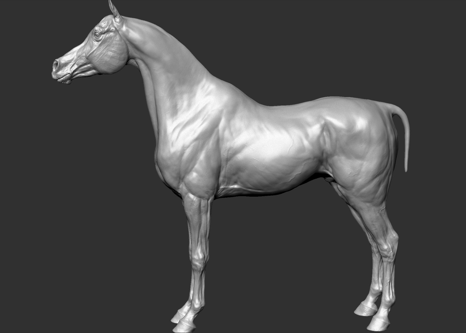 project arabian horse model https://p.turbosquid.com/ts-thumb/dI/epjbTc/TFZ9RB6P/arab10/jpg/1552280226/1920x1080/fit_q87/8a072229789cc5bfcdc0c0bf03c0e3fc42b3e042/arab10.jpg