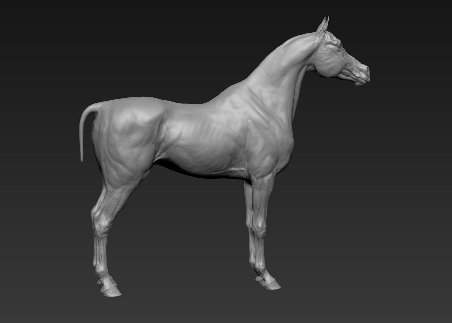 project arabian horse model https://p.turbosquid.com/ts-thumb/dI/epjbTc/XWgiYFer/9/jpg/1552280304/1920x1080/fit_q87/59f9f48a4f2d55734a031692ef92838dd50a425e/9.jpg