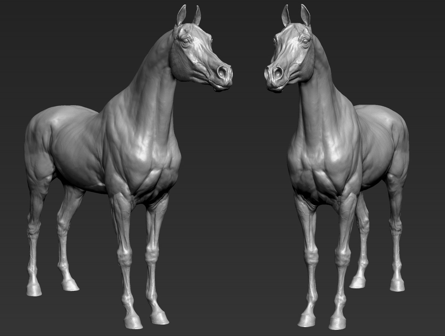 project arabian horse model https://p.turbosquid.com/ts-thumb/dI/epjbTc/YxqcYbzt/arab3/jpg/1552280226/1920x1080/fit_q87/a83246b5dcdeaf99840b6f3af75c91a40f82abd2/arab3.jpg