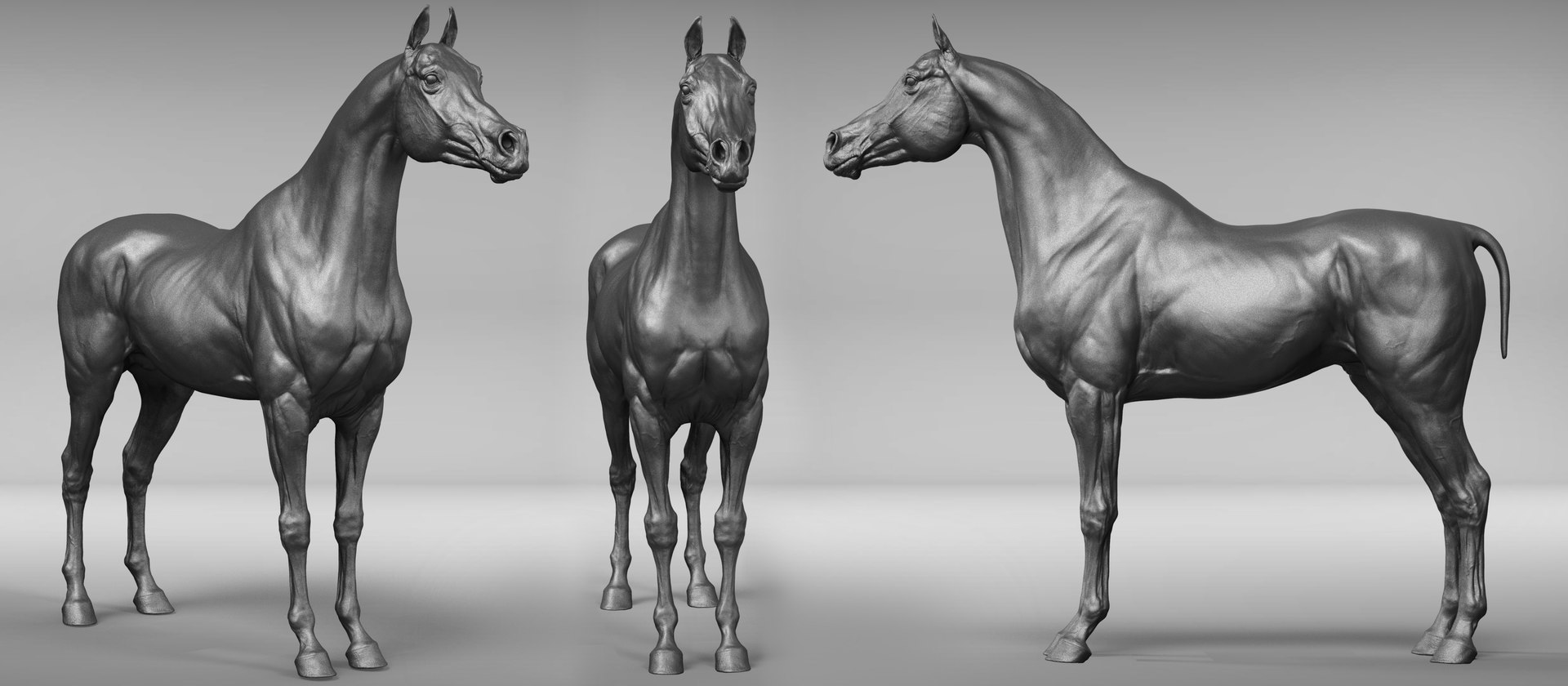 project arabian horse model https://p.turbosquid.com/ts-thumb/dI/epjbTc/Zkjnen74/qa22/jpg/1552431725/1920x1080/fit_q87/b5e75f77c0e9136443e2f2ff3cdd1f24ca765178/qa22.jpg