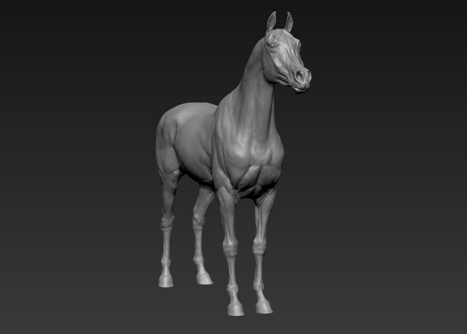 project arabian horse model https://p.turbosquid.com/ts-thumb/dI/epjbTc/nm1edAvu/3/jpg/1552280304/1920x1080/fit_q87/87e17f1ab75324e6a31b91ce0126d9fffde7e4fd/3.jpg
