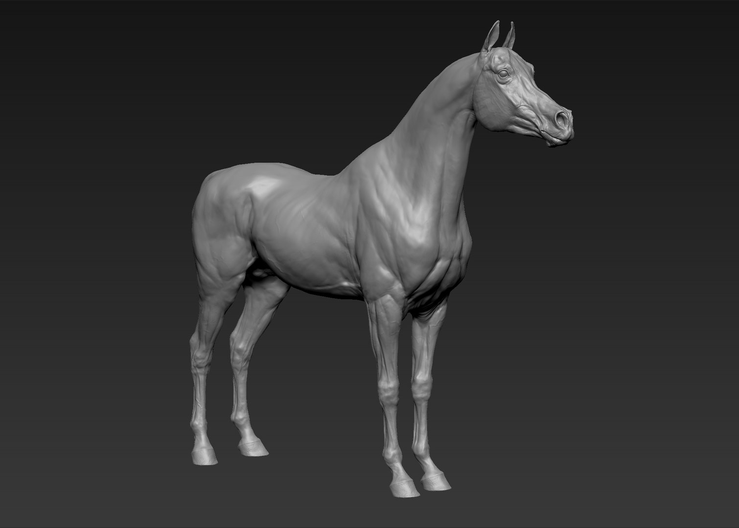 project arabian horse model https://p.turbosquid.com/ts-thumb/dI/epjbTc/ocLRrJj4/2/jpg/1552280304/1920x1080/fit_q87/0f0ca5935769b570995b15ce0e5675ab698565e5/2.jpg