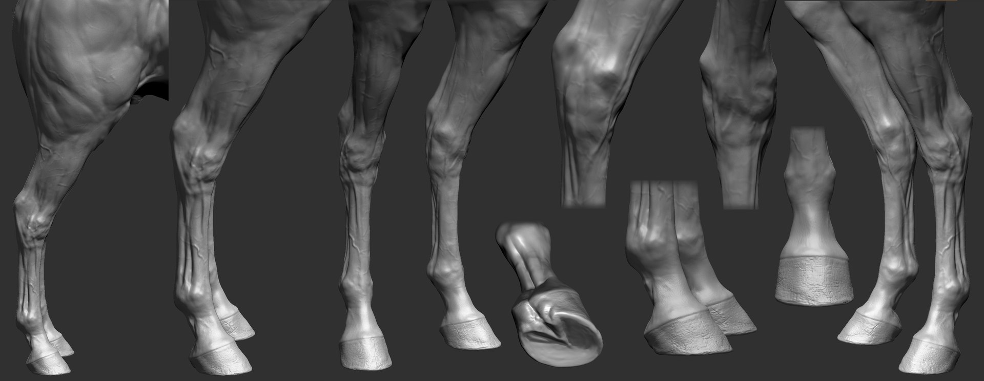 project arabian horse model https://p.turbosquid.com/ts-thumb/dI/epjbTc/oxOTXx4h/arab12/jpg/1552280226/1920x1080/fit_q87/b0ac1f4c050cfd9f0e36eebf176f6ef0f1e3d379/arab12.jpg