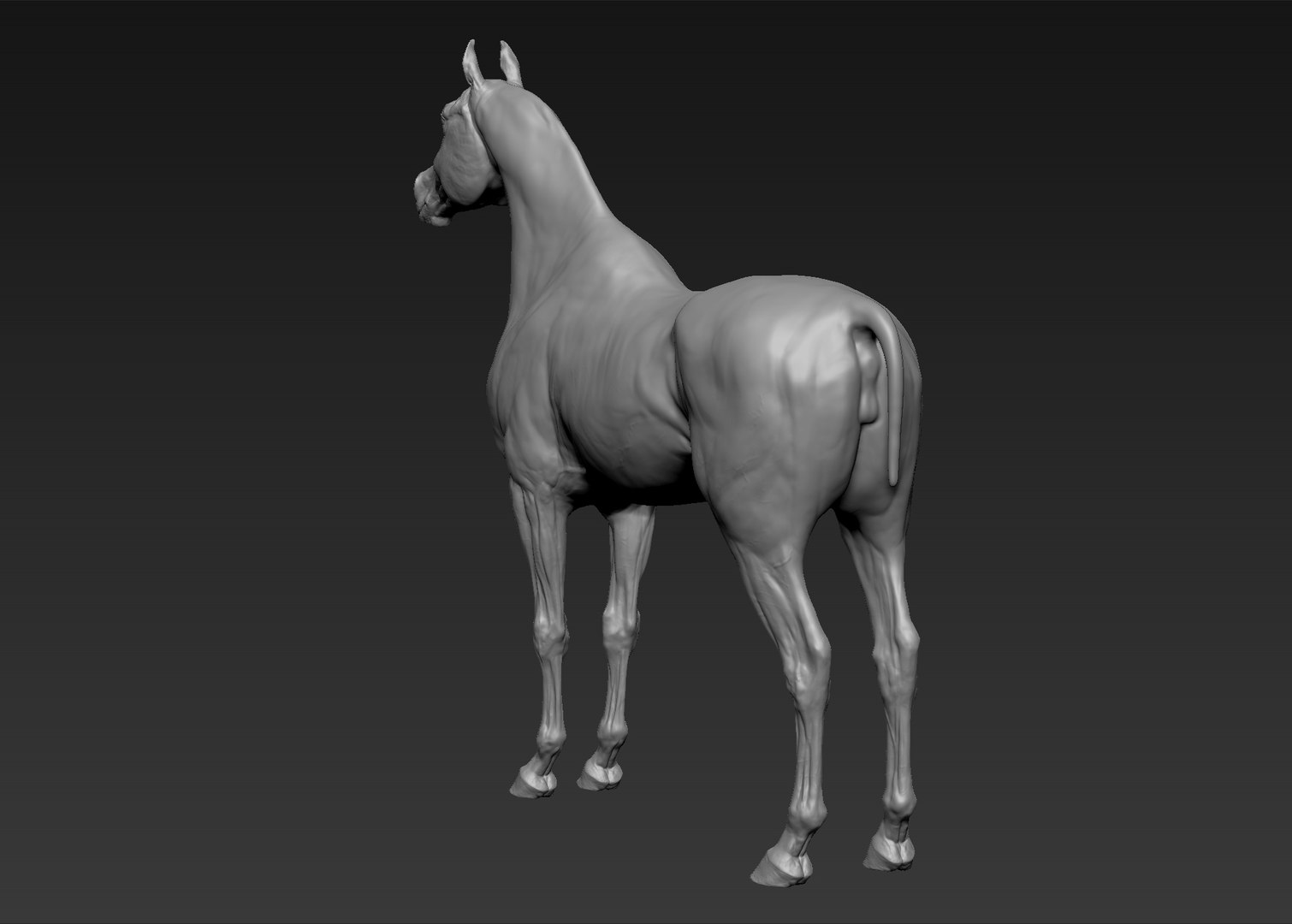 project arabian horse model https://p.turbosquid.com/ts-thumb/dI/epjbTc/r38cGNTA/7/jpg/1552280304/1920x1080/fit_q87/0c34fe363dfeadaf999c7b30dc306cda43b3e643/7.jpg