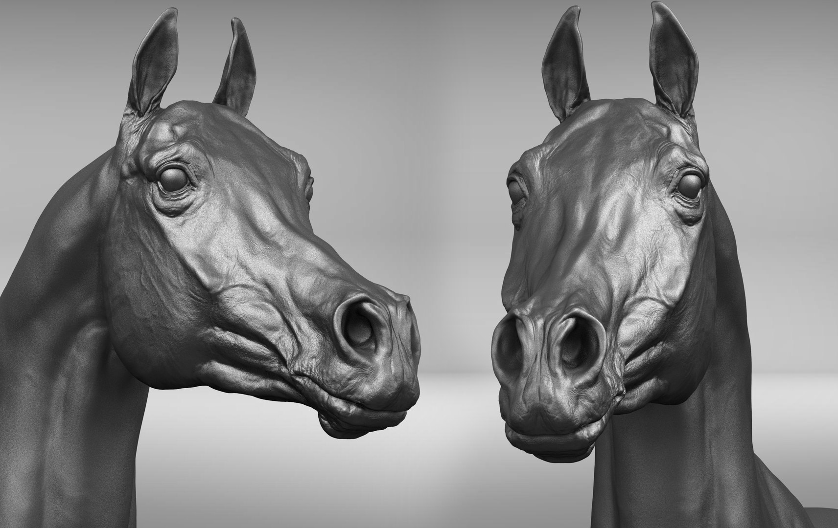 project arabian horse model https://p.turbosquid.com/ts-thumb/dI/epjbTc/uqsPivLP/qa11/jpg/1552431724/1920x1080/fit_q87/770bf04f58649a2fe9a818ed6cacb509043bd1bd/qa11.jpg
