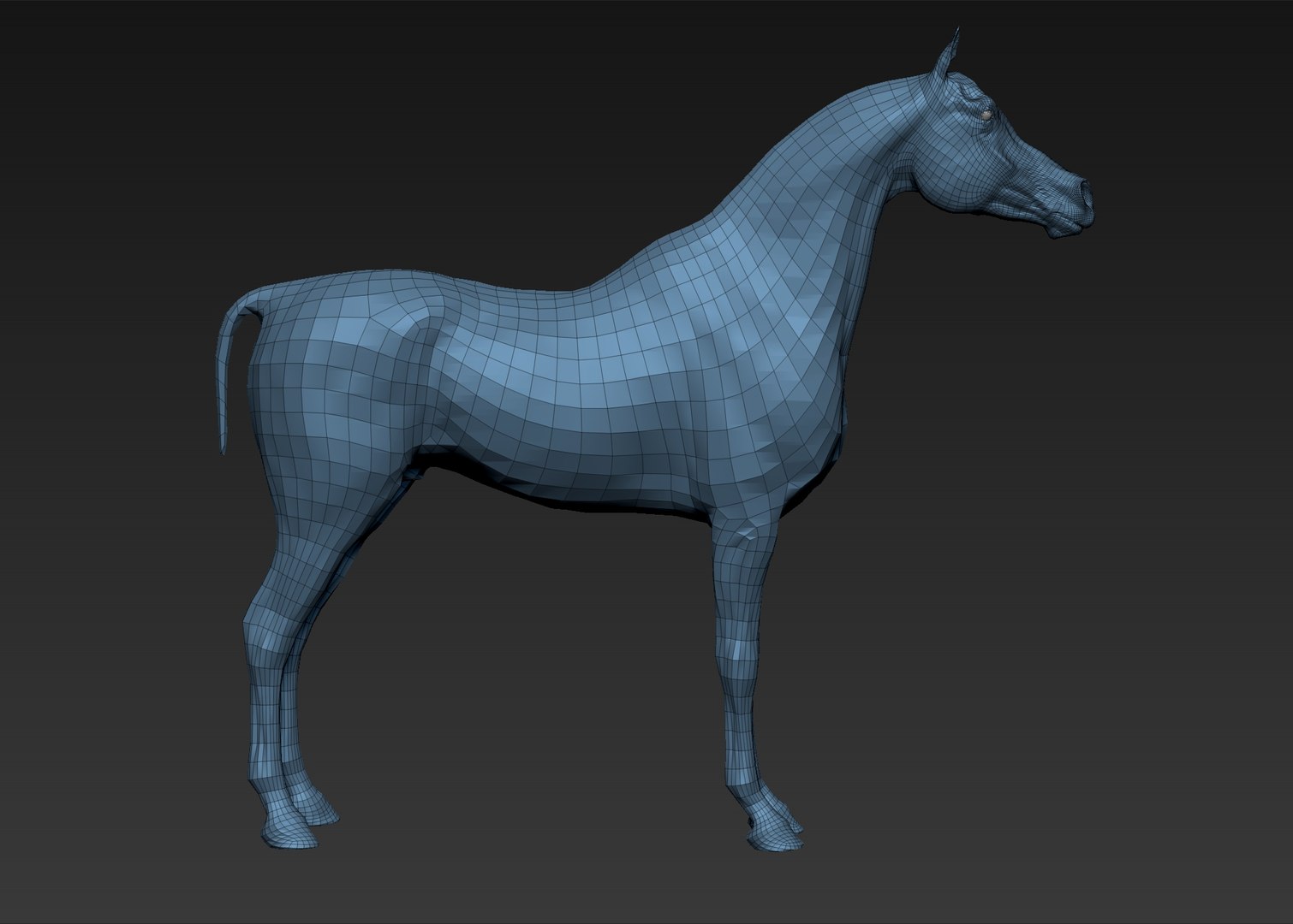 project arabian horse model https://p.turbosquid.com/ts-thumb/dI/epjbTc/zY0esk0q/10/jpg/1552280304/1920x1080/fit_q87/60c941f1e3e64254850d5955686bd790fc3464a6/10.jpg