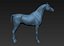 project arabian horse model