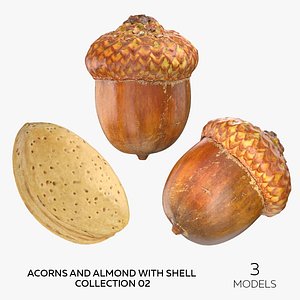 3D Acorns and Almond With Shell Collection 02 - 3 models model