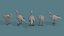 Izometryczny pakiet ikon Low Poly Animal 04
