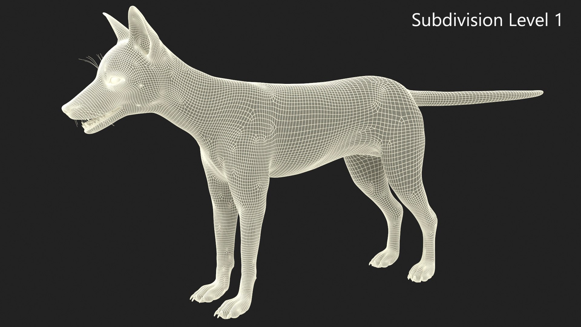 Vulpes Vulpes Basic Pose 3D https://p.turbosquid.com/ts-thumb/dJ/n0FPAT/DA/vulpesvulpesbasicposec4dmodel018/jpg/1706312461/1920x1080/fit_q87/1d277634b4ba939ab606b7d61372d1912ab50997/vulpesvulpesbasicposec4dmodel018.jpg