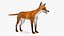 Vulpes Vulpes Basic Pose