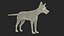 Vulpes Vulpes Basic Pose
